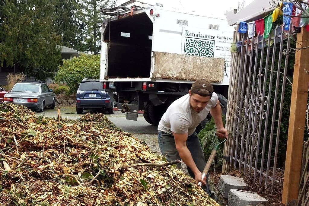 A crew member spreading fresh wood chip mulch from a truck