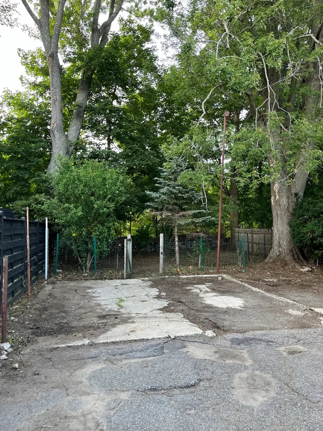A gate and fence line lost under vines, then cleared back to bare pavement
