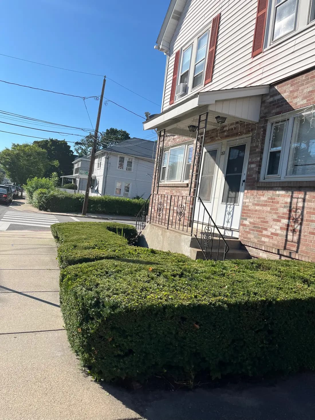 A squared, tightly clipped hedge running along a front walk