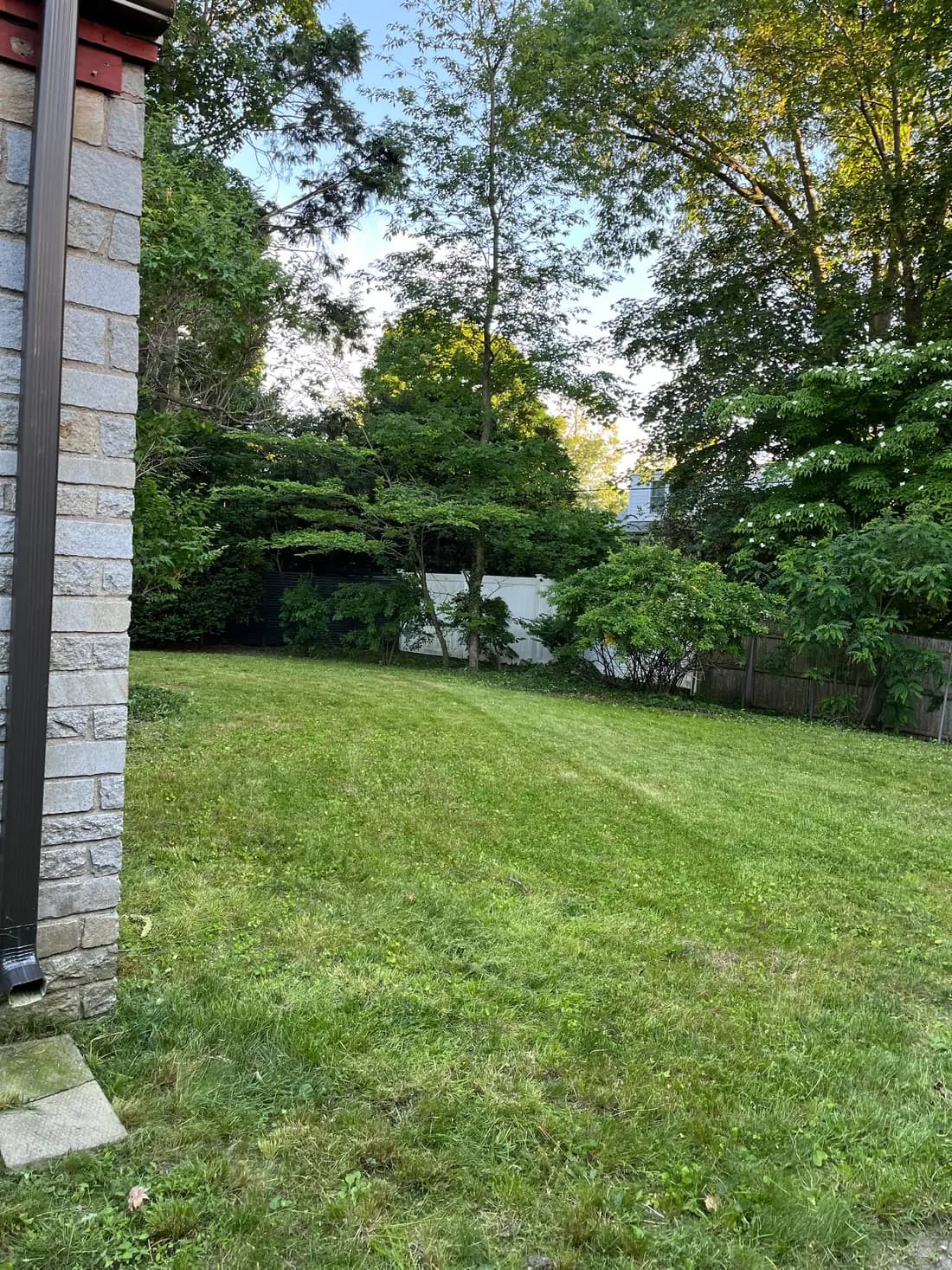 A back lawn cut back to clean stripes after a full season reset
