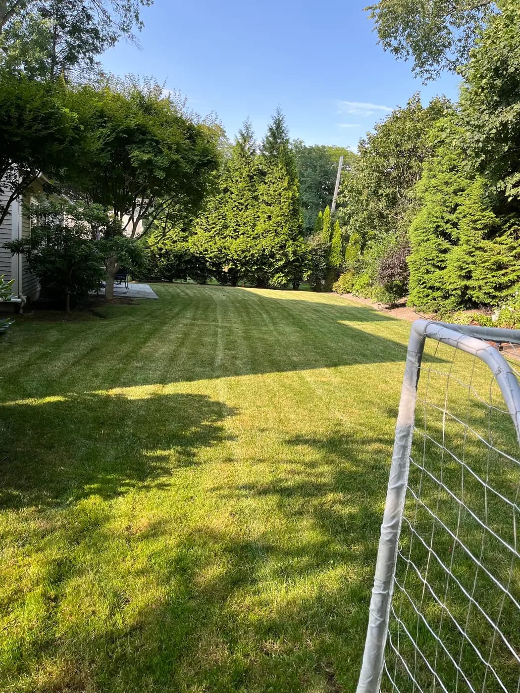 A back lawn cut into clean stripes against a screen of evergreens